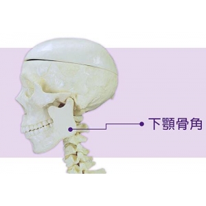 港华医美磨骨谁的手艺更精湛?高伟、吕京陵、杨君毅、穆雄铮医生口碑俱佳