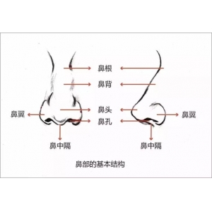 王光辉做鼻子效果好看吗？王医生个人简介+真人隆鼻案例