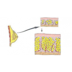 沈阳中航星美怎么样?分享医生技术、热门项目