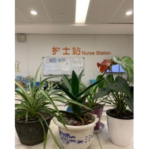 苏州市立医院自体脂肪填充价格是多少？专业医生团队曝光！