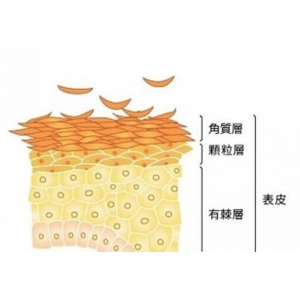 广州粤秀整形外科黑脸娃娃技术怎么样？专业医师团队打造透亮肌肤