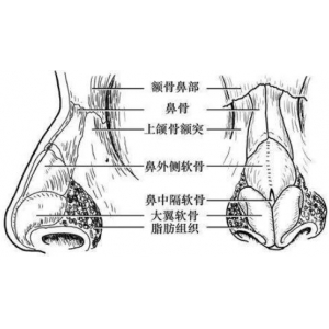 温州和平整形医院鼻部整形技术怎么样？医院资质&医生团队&项目价格全解析
