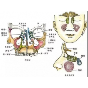 西安米兰柏羽整形医院做隆鼻好吗？医院介绍附隆鼻案例和价格表！