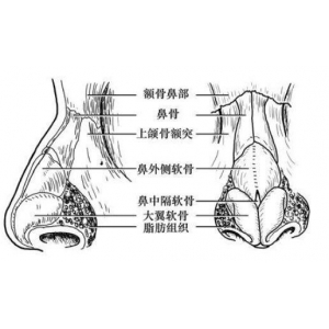 温州加美整形医院鼻子那个医生做的好？加美做鼻子整形贵吗？