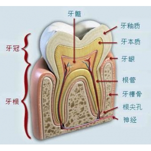 无锡清扬路佳士洁口腔门诊部怎么样？内含价格表及案例分析