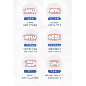 烤瓷牙哪个性价比好些？附烤瓷牙2025年价格表