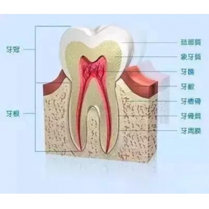 湖北航天医院牙齿矫正效果怎么样？价格贵不贵？