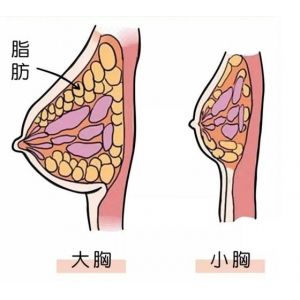 淮安市第一人民医院假体隆胸多少钱？技术优势、医生团队、价格表一览