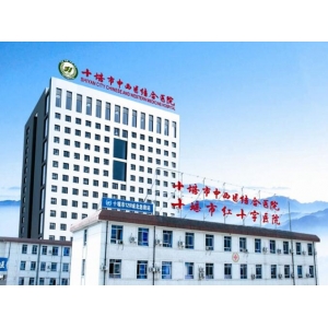 成都鼻中隔软骨隆鼻医生专家排行名单，口碑与技术深度解析