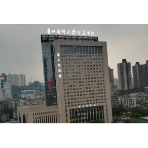 贵阳膨体假体隆鼻医生排名：深度解析杜良军与刘照的技术特色