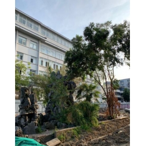 苏州市立医院整形外科怎么样?医院简介-医生团队-项目价格全面解析!