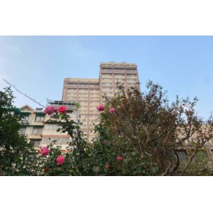 江苏省中医院牙齿矫正技术怎么样？专业医生团队+真实案例解析